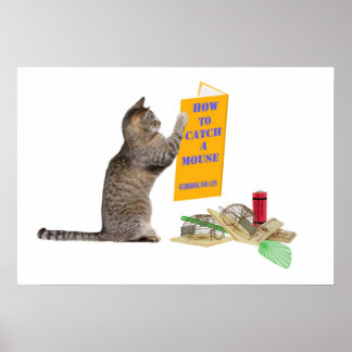 Så här fångar du en mus poster