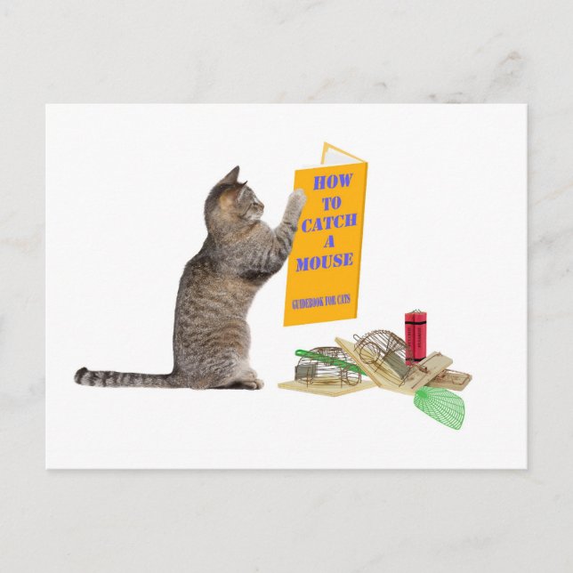 Så här fångar du en mus vykort (Framsida)