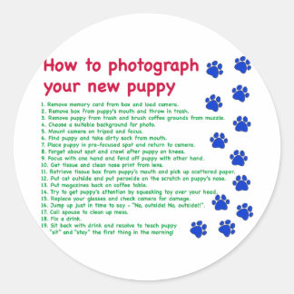Så här fotograferar du din nya valp runt klistermärke