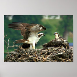 Så här fungerar Saken Poster