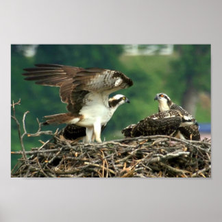 Så här fungerar Saken Poster