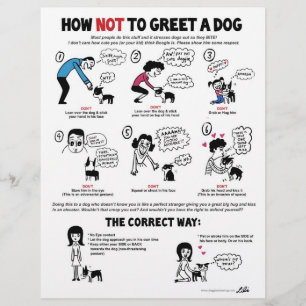 Så här hälsar du inte på en Hund - 8,5 x 11-tumsfl Reklamblad