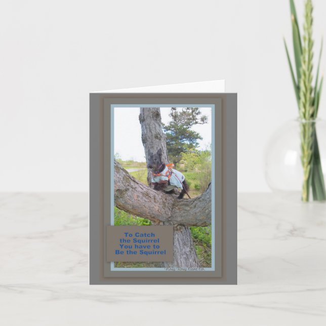 Så här hämtar du ekorrekortet kort (Framsida)