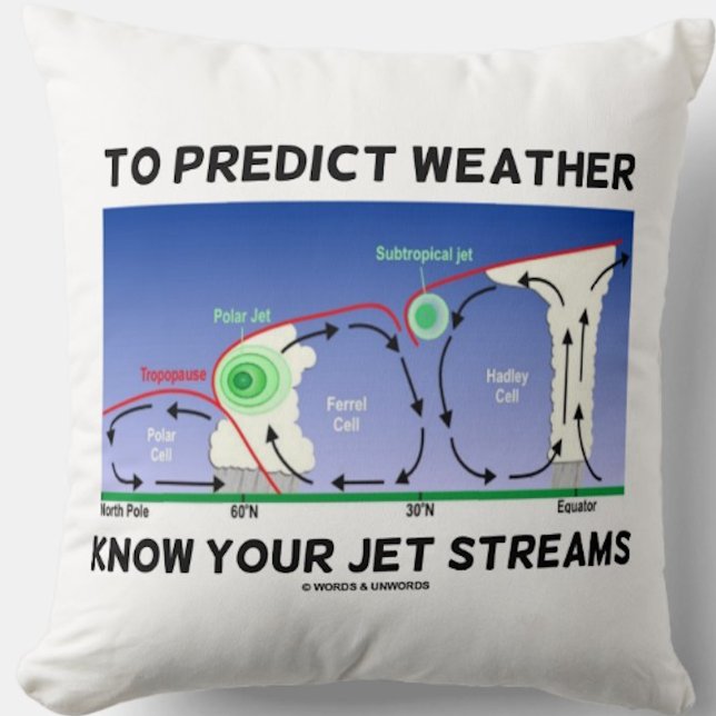 Så här kan du förutsäga väder och njuta av strömma kudde (Earth scientists & atmospheric scientists will enjoy this meteorological attitude throw pillow)