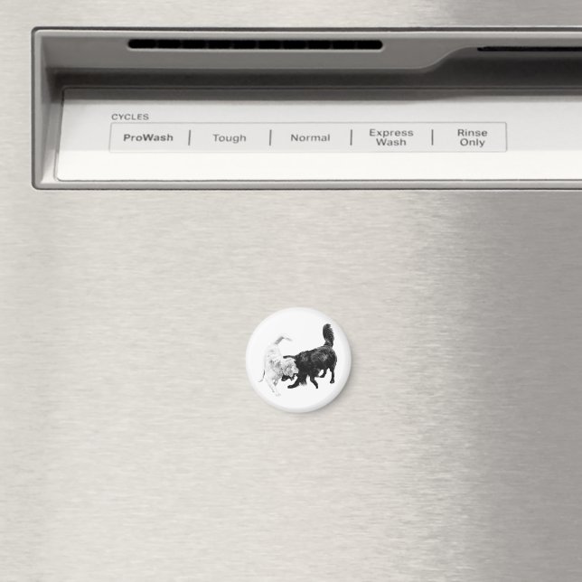 Så Här Leker Vi Magnet (In Situ (Dishwasher))