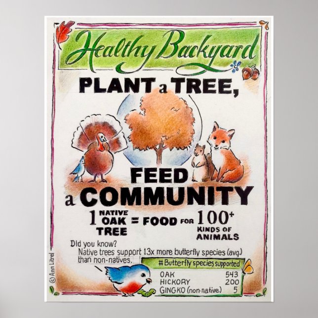 Så här Matar du Wildlife - Plant a Träd poster (Framsidan)