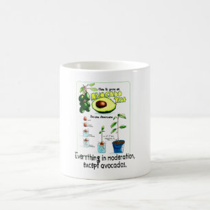 Så här odlar du en Avocado Träd Kaffemugg