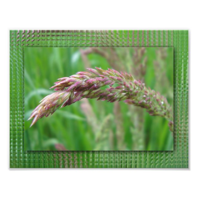 Så här ökar Grass fotoutskriften Fototryck (Framsidan)