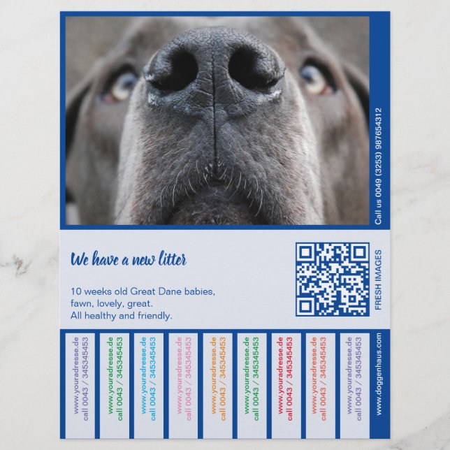 Så här säljer du Dane Puppies-färgfull Brevhuvud (Framsida)