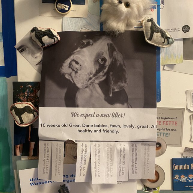 Så här säljer du Dane Puppies Flyer (Skapare uppladdad)