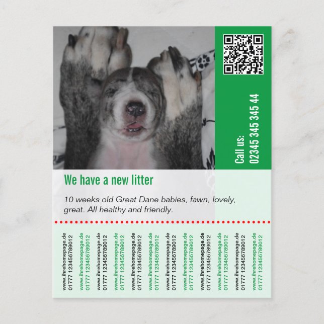 Så här säljer du hundvalpar flygblad (Framsidan)