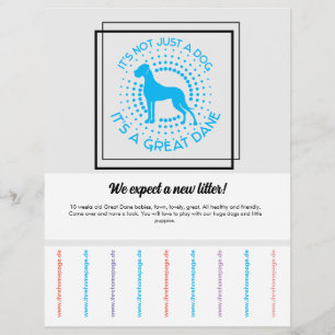 Så här säljer du marionerna Flyer