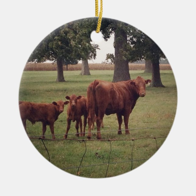 Så här ser nu brunkoskon ut julgransprydnad keramik (Framsidan)