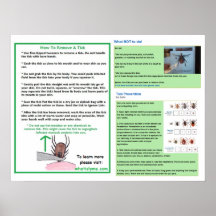 Så här tar du bort en fästpunkt Poster du för Lyme