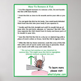 Så här tar du bort en Poster fästingutbildning