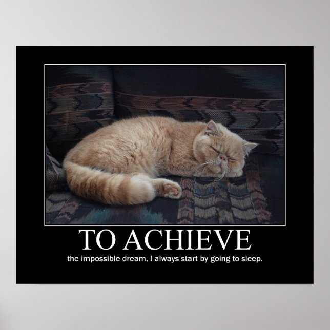 Så här uppnår du den omöjliga Dream Cat-teckningen Poster (Framsidan)