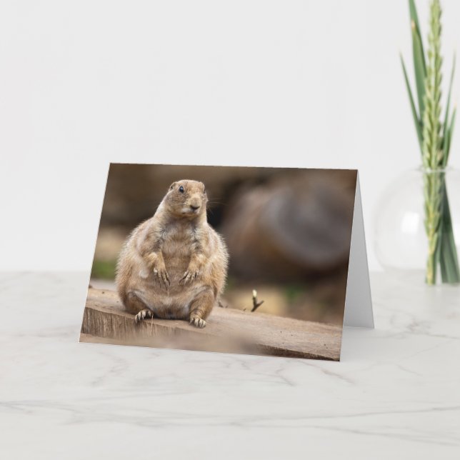 Så jag är lite Kort för mitt viktkort (Framsida)