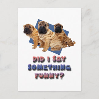 Sa jag nåt roligt? vykort