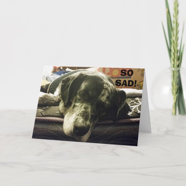 SÅ LEDSEN ATT SE DIG GÅ - VALPEN ÄR BARA SÅ OSKYLD KORT (Framsida)