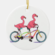 Så lyckliga tillsammans tandema Flamingos