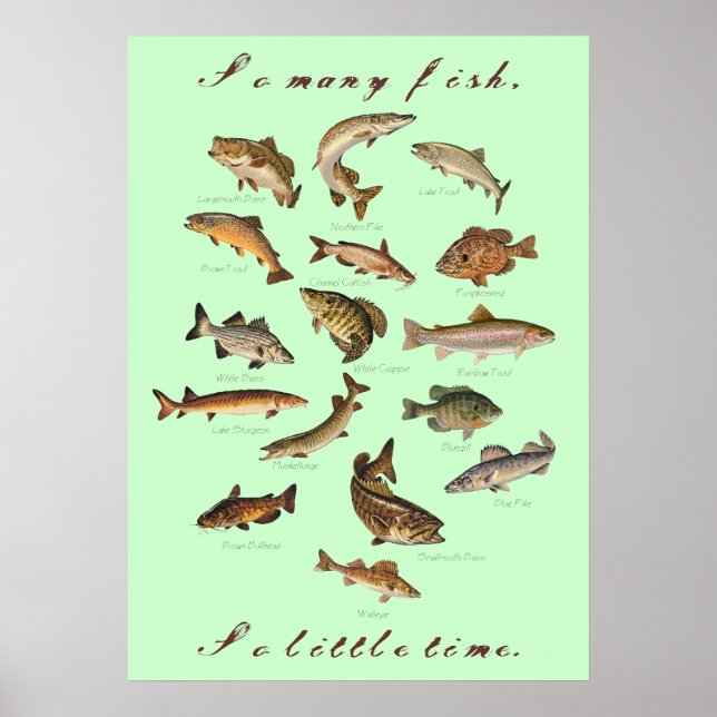 Så många fiskar, så lite tid Poster (Framsidan)