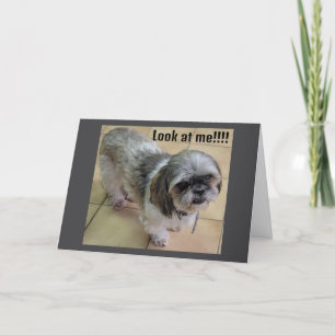 "SÅ MISSAR JAG DIG I THANKSGIVING" KORT