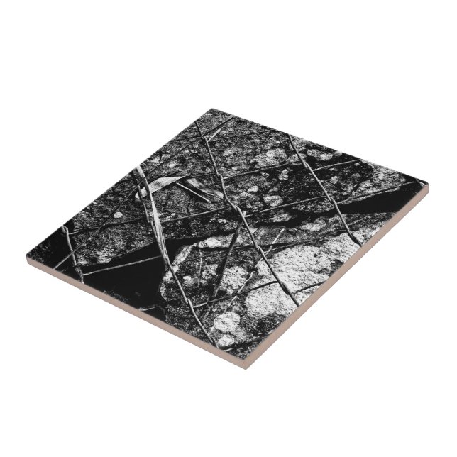 så mycket för morgondagen kakelplatta (Sidan)