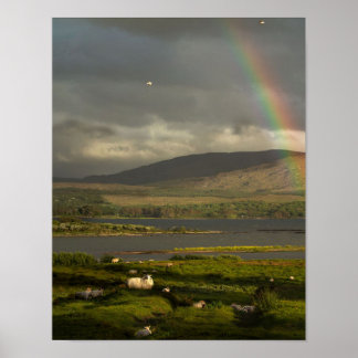 Så mycket Irland Poster