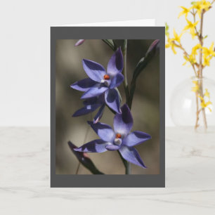 SÅ "MYCKET SORRY" FÖR "DITT FÖRLUST" KORT