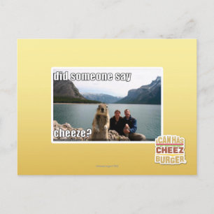 Sa någon att det var roligt? vykort