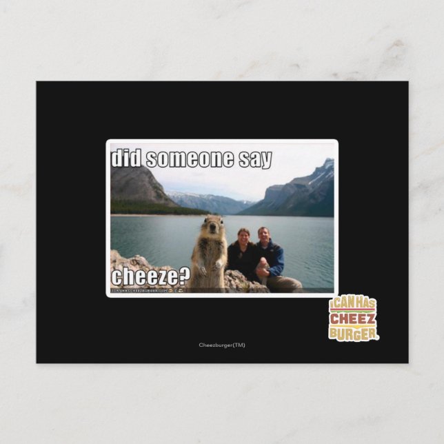 Sa någon att det var roligt? vykort (Framsida)