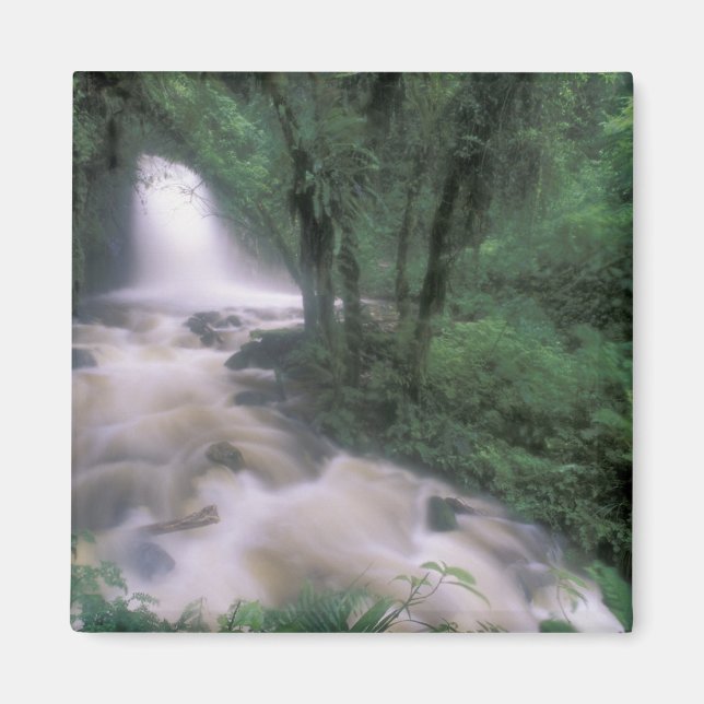 SA, Peru, S.H. Machu Picchu, Cascade och Moln Magnet (Framsidan)