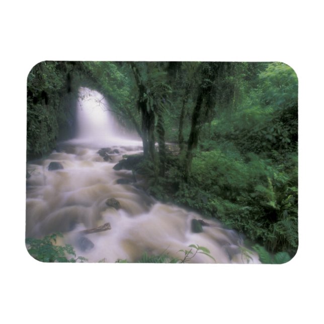 SA, Peru, S.H. Machu Picchu, Cascade och Moln Magnet (Horisontell)