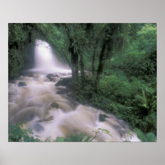 SA, Peru, S.H. Machu Picchu, Cascade och Moln Poster (Framsidan)