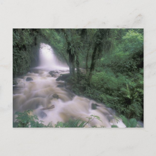 SA, Peru, S.H. Machu Picchu, Cascade och Moln Vykort (Framsida)