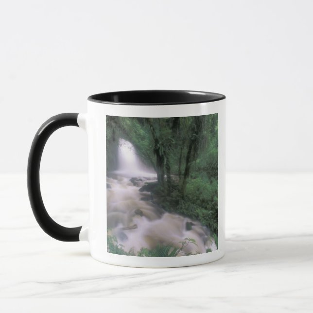 SA, Peru, S.H. Machu Picchu, Kaskad och moln Mugg (Vänster)
