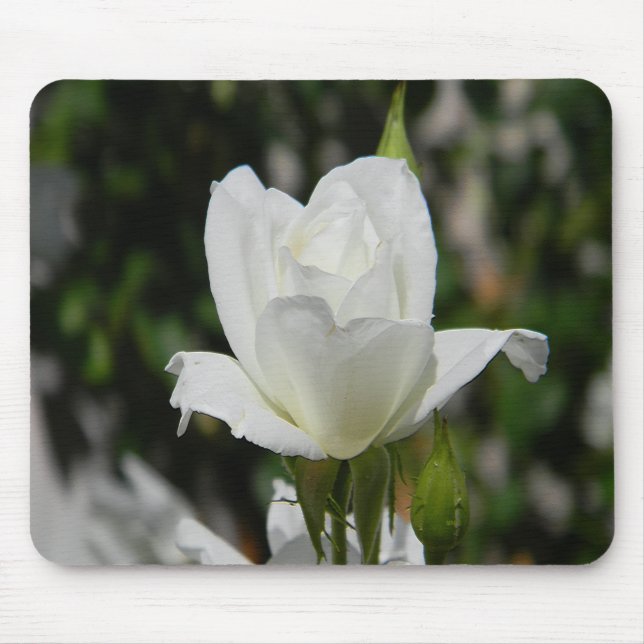 Så ren.... musmatta (Framsidan)