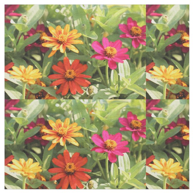 Så söt är det en Zin Tyg (Närbild)