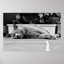 Så uttråkad.. poster