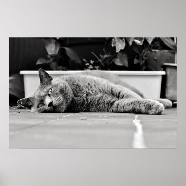 Så uttråkad.. poster (Framsidan)