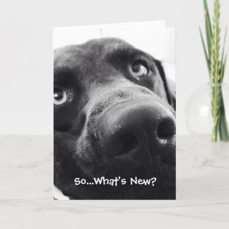 Så vad är nytt? Hej Greeting Card Kort