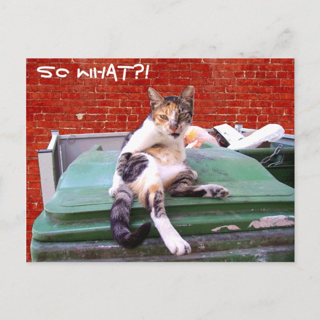 Så vad? vykort (Framsida)