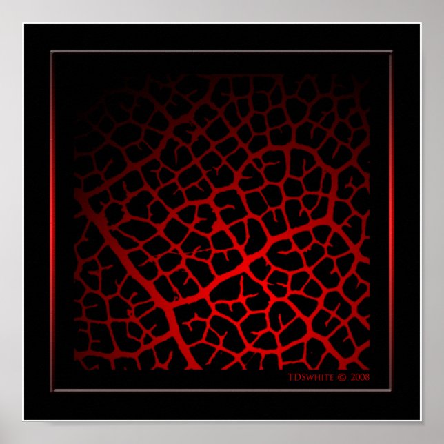 Så Vein Poster (Framsidan)