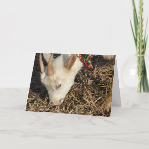 Saanen Goat jul Helgkort