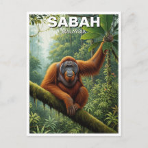 Sabah Malaysia Orangutan Resa