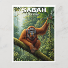 Sabah Malaysia Orangutan Travel Vykort