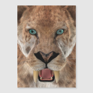 Sabeltandad tiger eller Smilodon