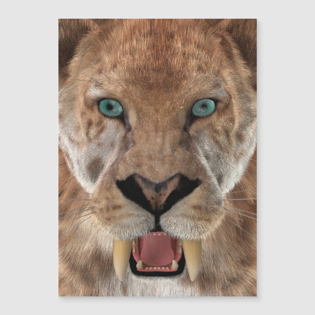 Sabeltandad tiger eller Smilodon (Framsida)