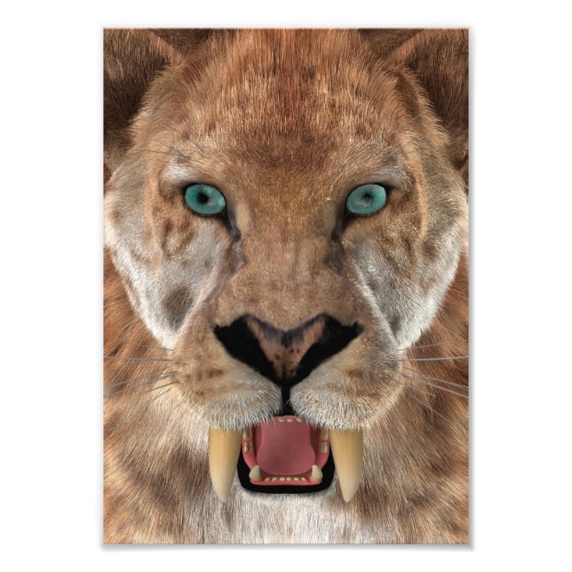 Sabeltandad tiger eller Smilodon Fototryck (Framsidan)