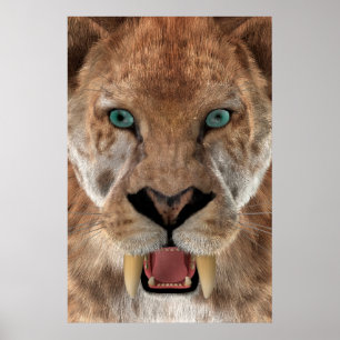Saber Toothed Ttiger eller Smilodon Poster